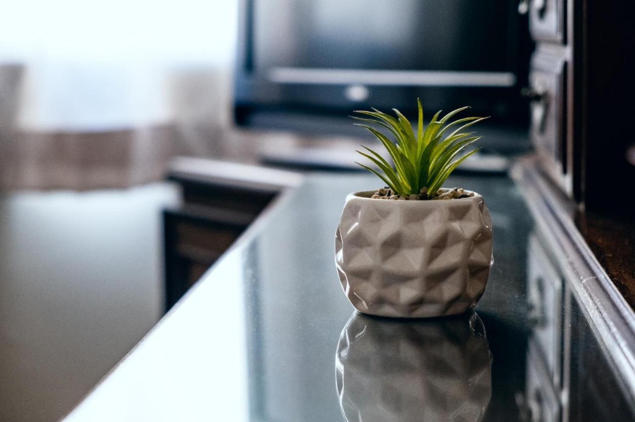 Hotel Margaritas Eco Haus Querétaro Zewnętrze zdjęcie